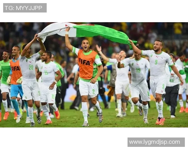 巴西德国2014世界杯经典对决回顾CCTV5精彩集锦全景呈现